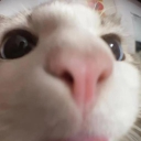 femboy